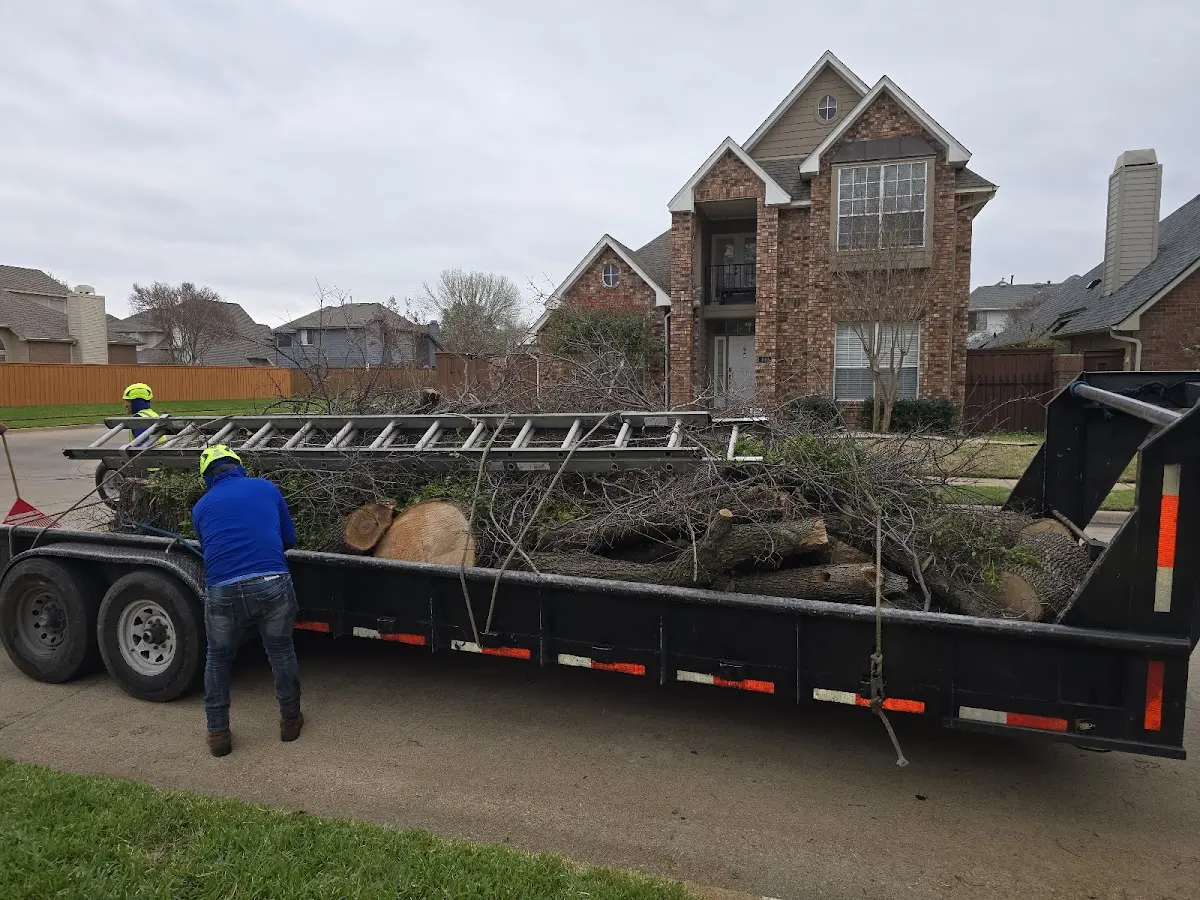 Expert Tree Removal with proper safety equipment in Lake Forest